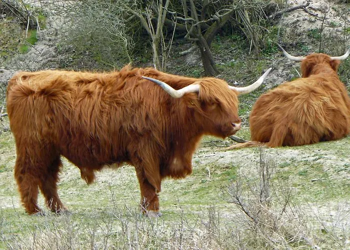 House Sea-esta Casa de Férias