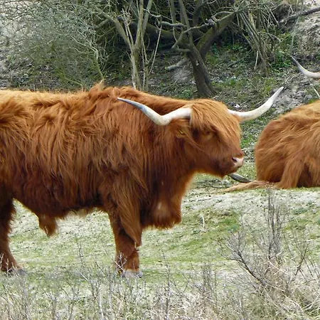 House Sea-esta Tatil Evi